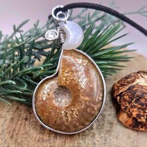 Nature Flashy Ammonite Moonstone Moon Wire Wrapped Pendant Necklace